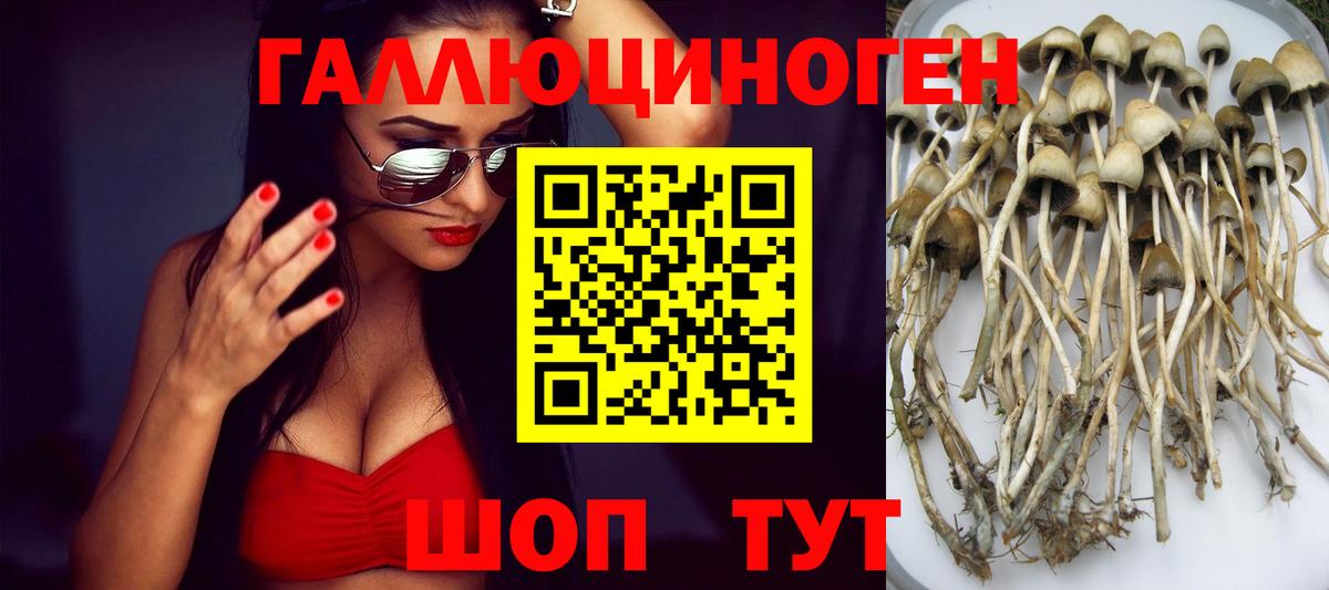 Галлюциногенные грибы Psilocybine cubensis  Галлюциногенные грибы Psilocybine cubensis  Вход с VPN  Фрязино 